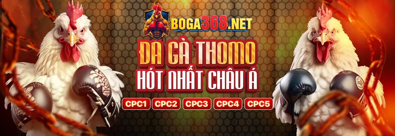 Đá gà trực tuyến 99x99 với không khí sôi động và tỷ lệ cược hấp dẫn
